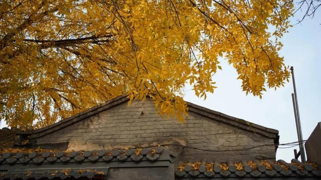 The East Hotel-very Close To The Drum Tower,the Temple,houhai Bar Street,and The Forbidden City,there Are Many Old Traditional Hutongs Around The ,experience The Culture Of Old Hutongs,near Exit A Of Shichahai On Metro Line Hotel Beijing
